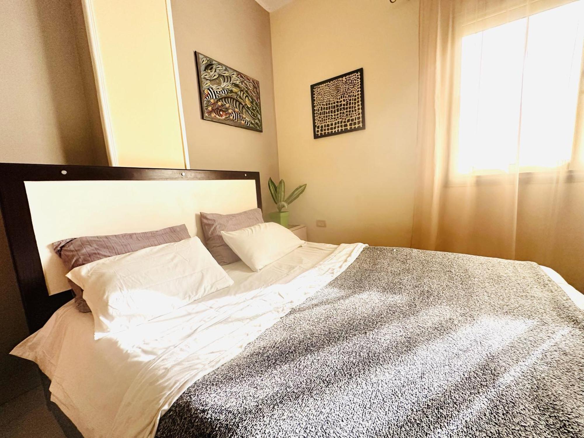 Zebra Apartments Hurghada Center Dış mekan fotoğraf